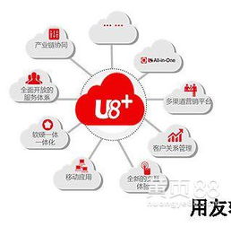 福州益友軟件 安全可靠的福建用友開發(fā)商，專注于網(wǎng)絡(luò)與信息安全軟件開發(fā)